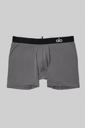 Boxer ανδρικα Alo Yoga Day and Night γκρι | Greece FTQYD-2651