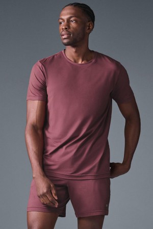 Short Sleeve ανδρικα Alo Yoga Conquer Reform Crewneck μπορντο | Greece QCJVO-4109