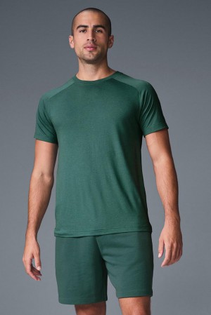 μπλουζακια για τρεξιμο ανδρικα Alo Yoga Triumph Raglan Winter Ivy | Greece UNWSI-9610