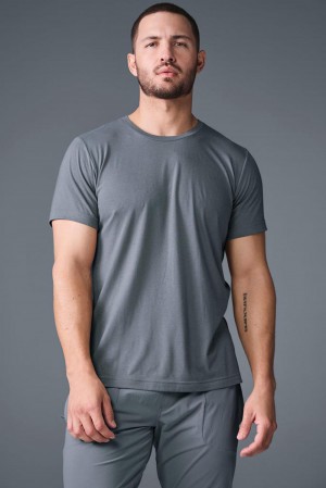 μπλουζακια για τρεξιμο ανδρικα Alo Yoga Triumph γκρι | Greece RSPJL-4582