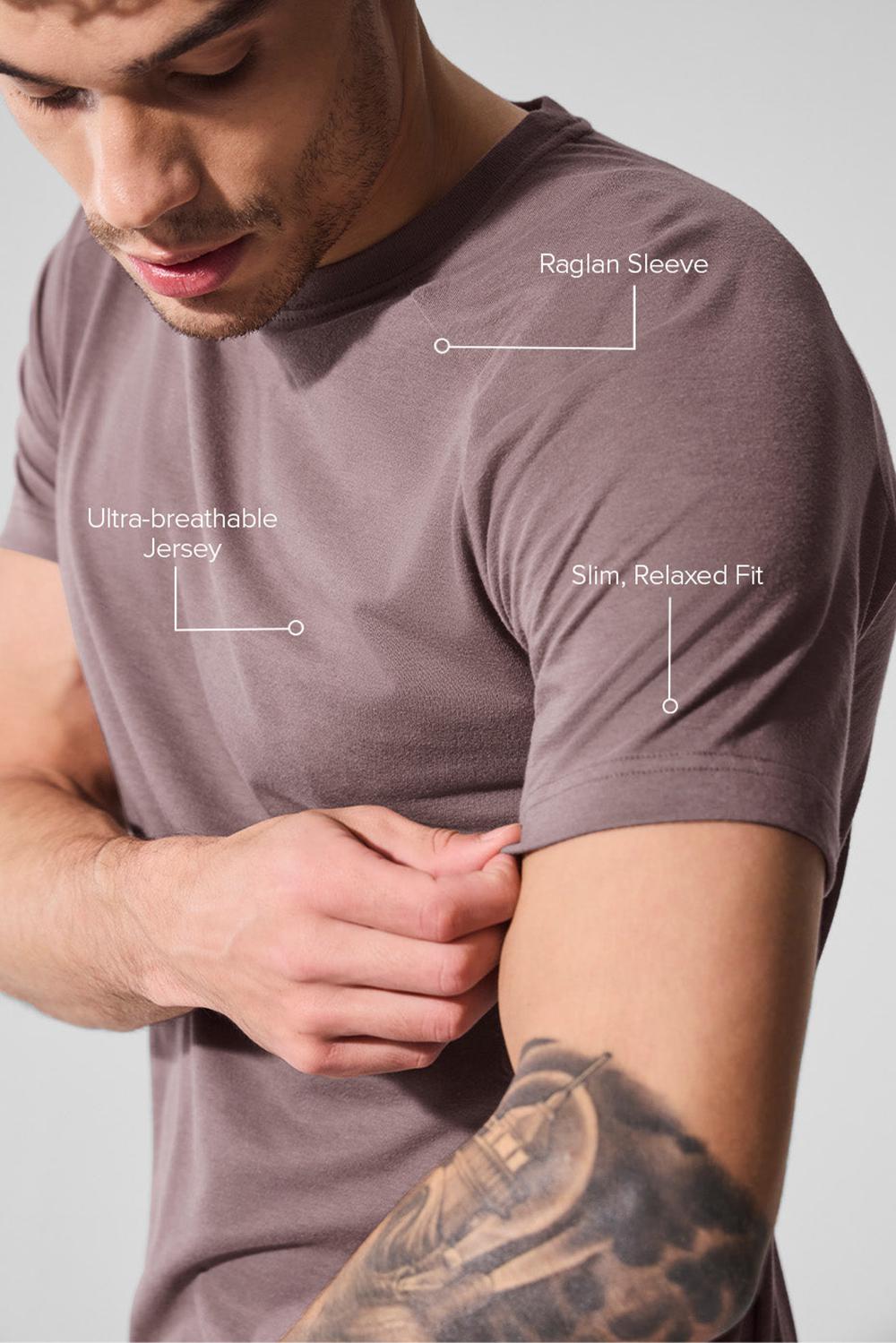 μπλουζακια για τρεξιμο ανδρικα Alo Yoga Triumph Raglan Mushroom | Greece  ICOLP-5671